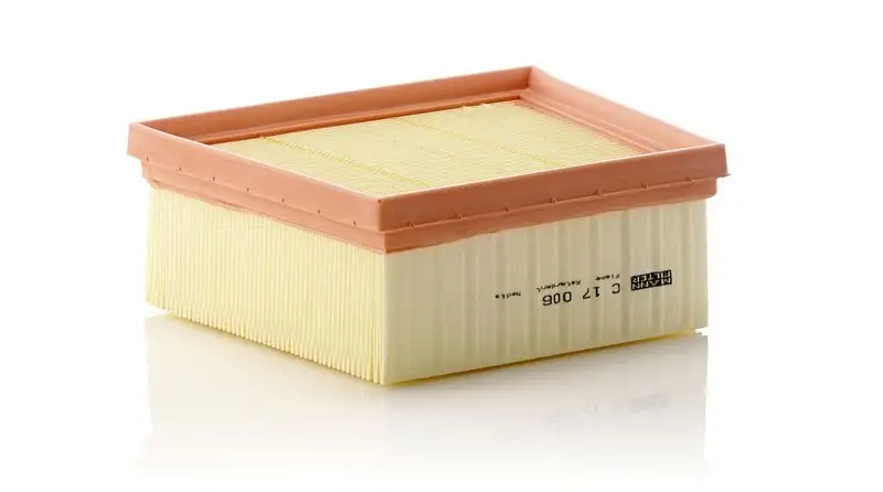 MANN C17006 Hava Filtresi