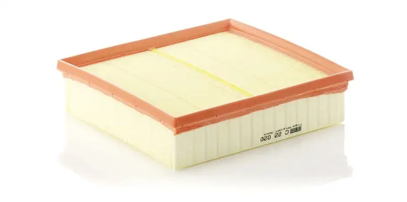 MANN C22020 Hava Filtresi A6510940204
