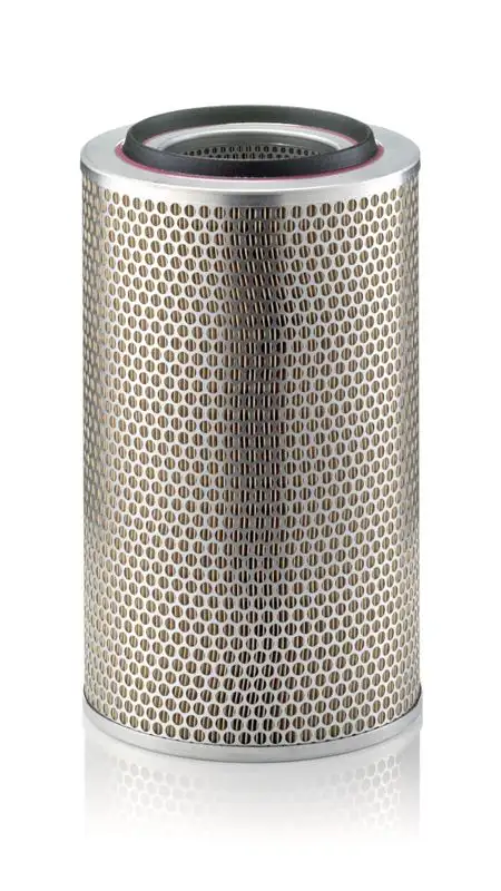 MANN C23440/1 Hava Filtresi