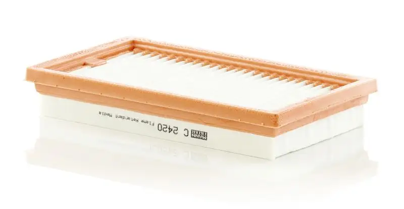 MANN C2420 Hava Filtresi 16546ED000