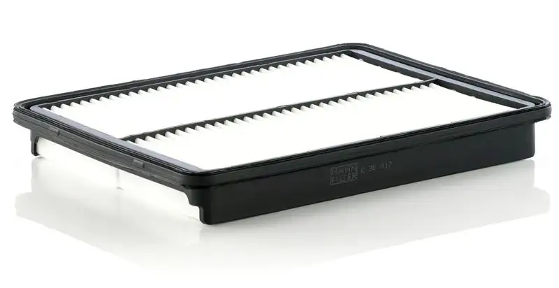 MANN C30017 Hava Filtresi 281132W100