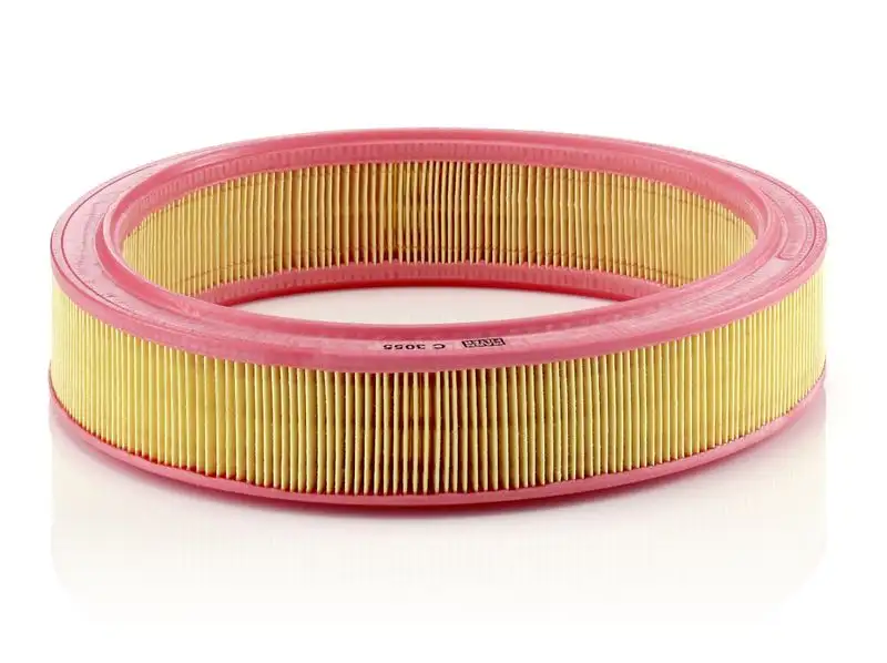 MANN C3055 Hava Filtresi