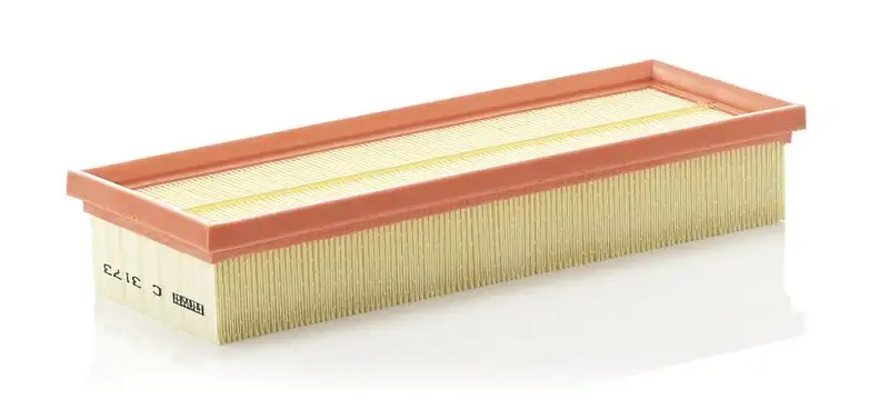 MANN C3173 Hava Filtresi