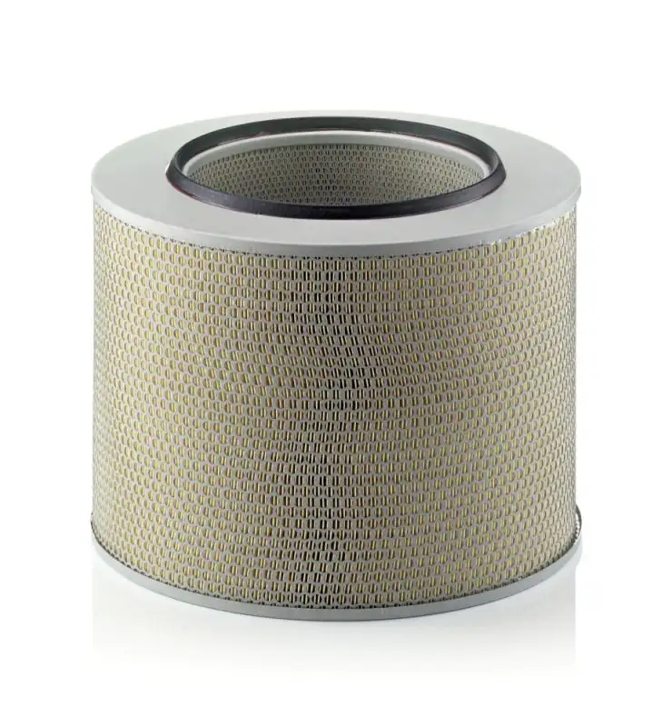MANN C421729 Hava Filtresi A0030949104