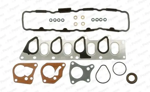 PAYEN CC5060 Motor Takım Conta (Üst) 7701427228