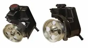 MOTORTEC DRP0025 Direksiyon Pompası