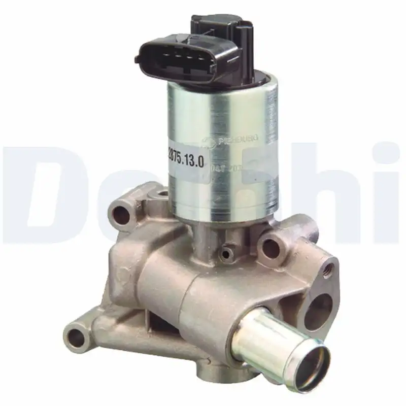 DELPHI EG10300-12B1 EGR Valfi