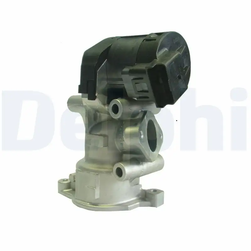 DELPHI EG10396-12B1 EGR Valfi