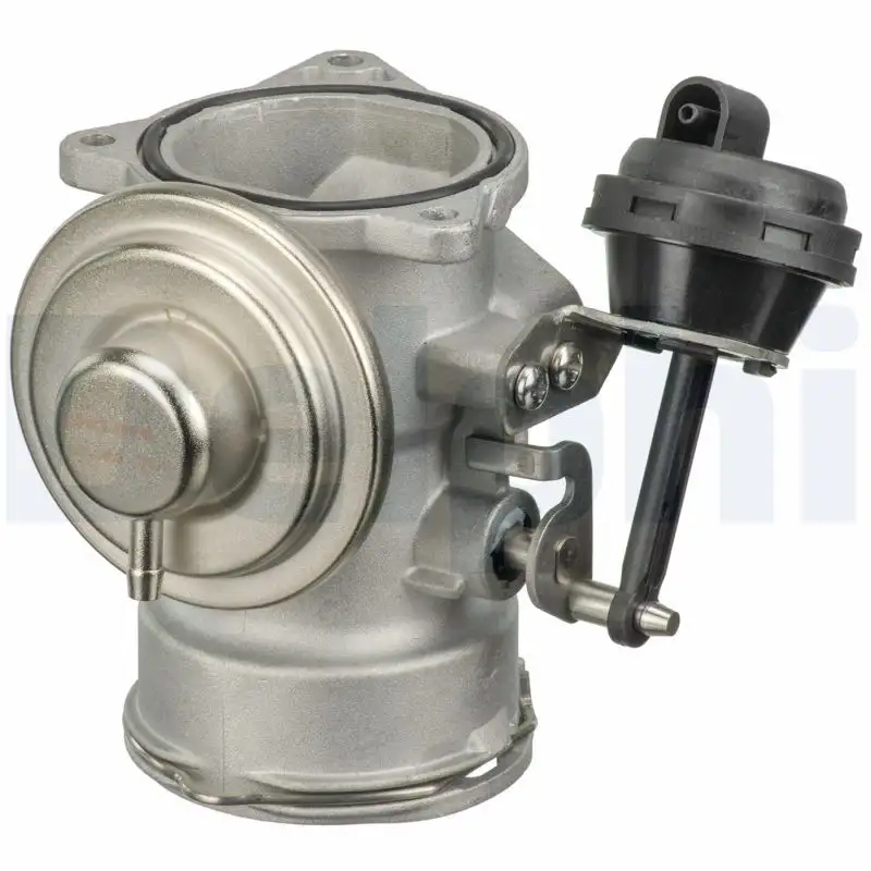 DELPHI EG10409-12B1 EGR Valfi