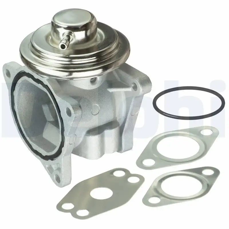 DELPHI EG10421-12B1 EGR Valfi
