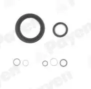 PAYEN EG7950 Motor Takım Conta (Alt) 7701475822