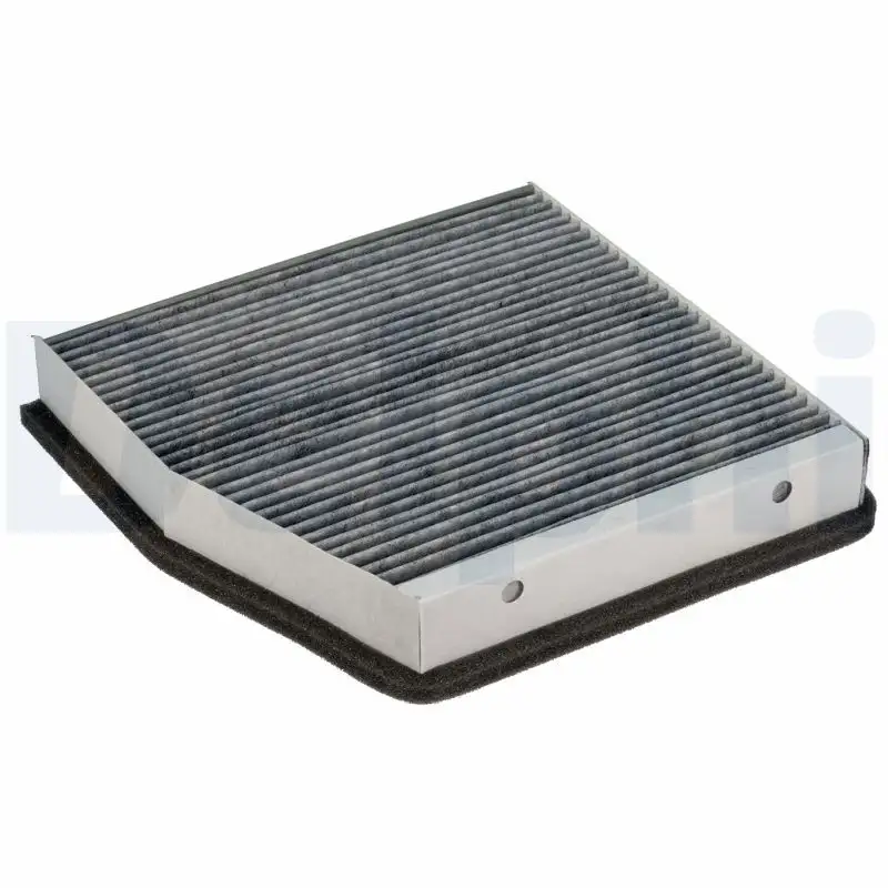DELPHI KF10017C Polen Filtresi (Karbonlu) A2468300018