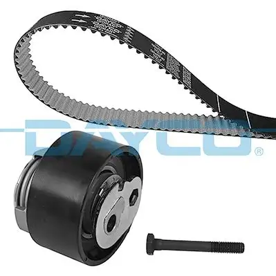 DAYCO KTB1193 Triger Seti LR078913