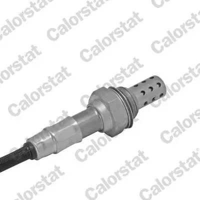 CALORSTAT VERNET LS040041 Oksijen Sensörü