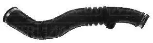 MASTER M8340 Hava Filtre Hortumu 8200446868