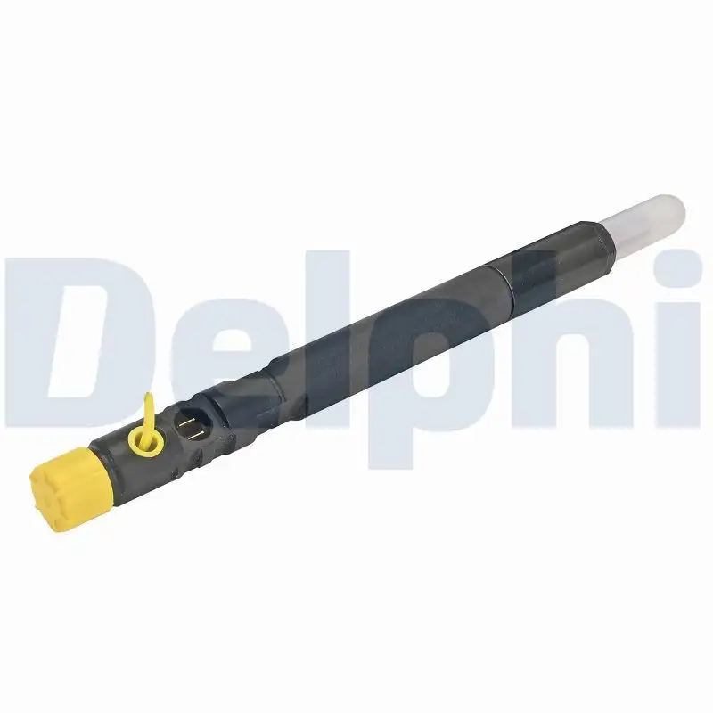 DELPHI R04201D-12B1 Enjektör A6460700987
