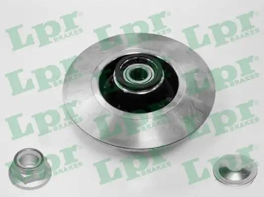 LPR R1005PCA Arka Fren Diski 8660001811