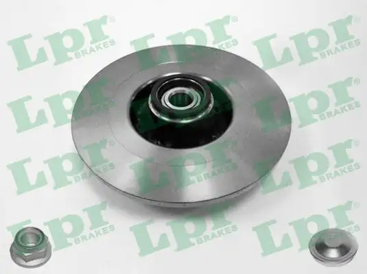LPR R1030PCA Arka Fren Diski 8660001812