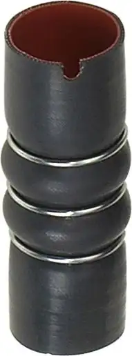 RAPRO R11384 Turbo Hortumu 51703325