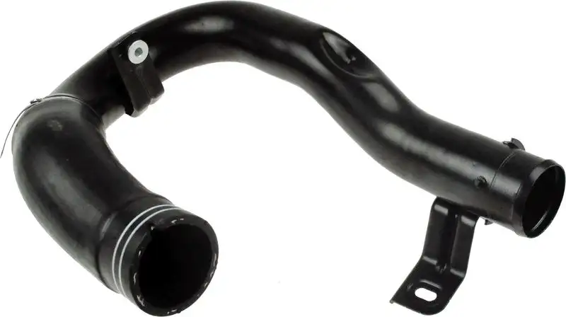 RAPRO R11643/O Turbo Hortumu 51984106