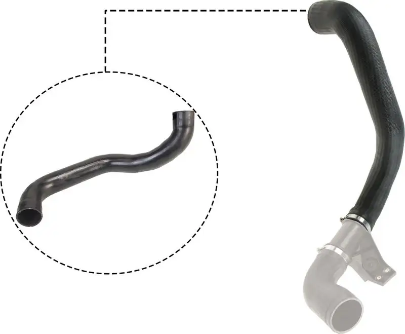 RAPRO R28300 Turbo Hortumu A9015284782