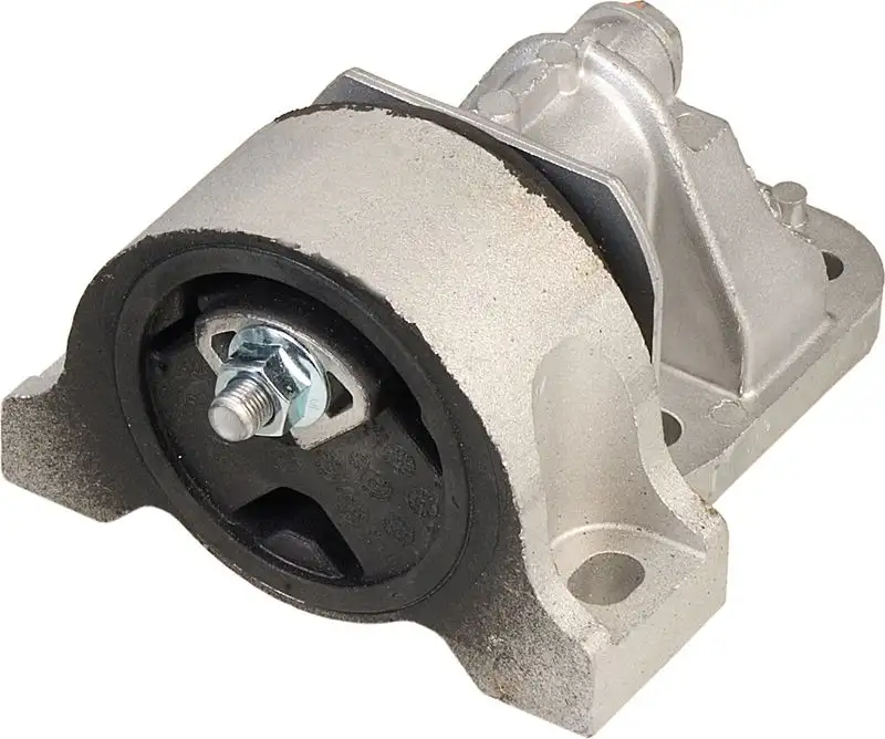 RAPRO R52111 Şanzıman Takozu 1326573080