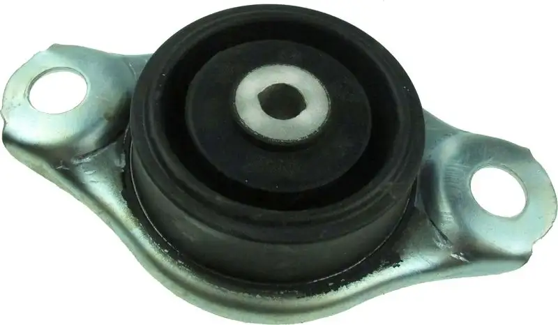 RAPRO R53135/O Şanzıman Takozu 51792760
