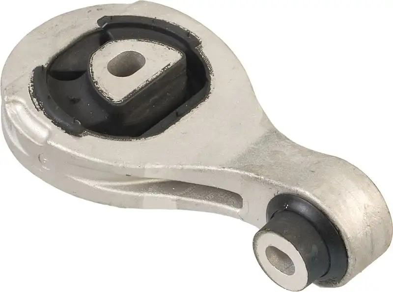 RAPRO R59521 Şanzıman Takozu 51879480