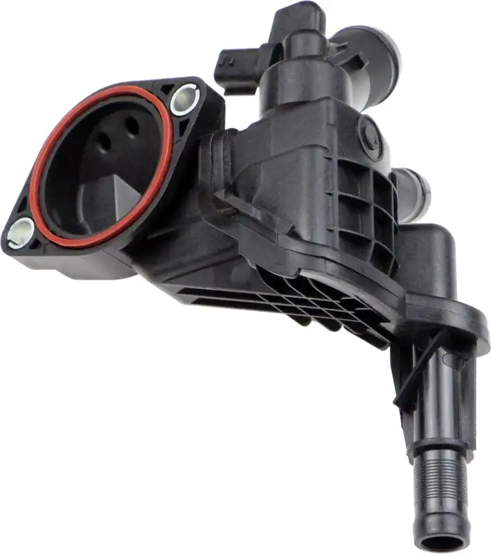 RAPRO R65102 Termostat 110616064R