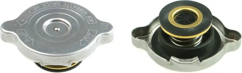 RAPRO R66116 Yedek Su Depo Kapağı