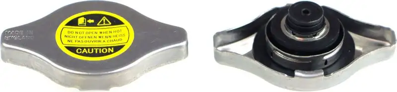 RAPRO R66135 Yedek Su Depo Kapağı