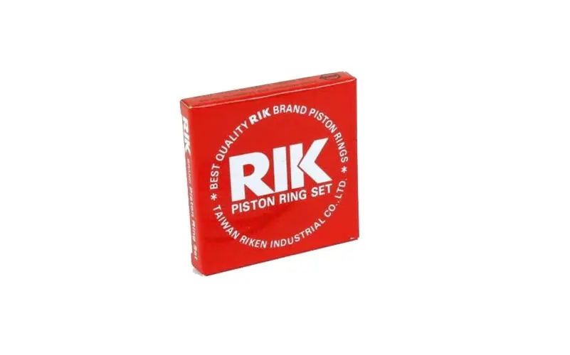 RIKEN RE15220000 Motor Segmanı (STD) 0613720750