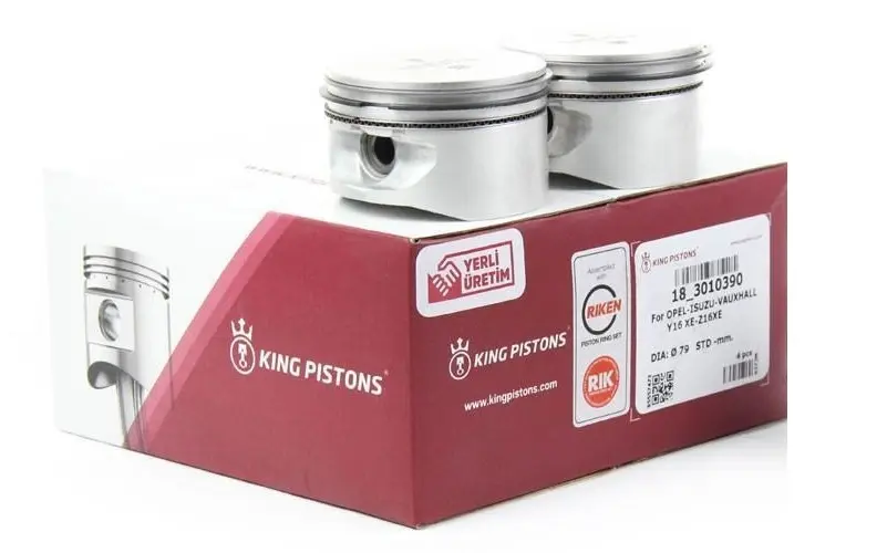 KING PISTONS RJ39597A00M Motor Segmanı