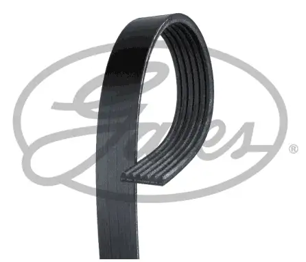 GATES ROADMAX 1310K6 Kayış