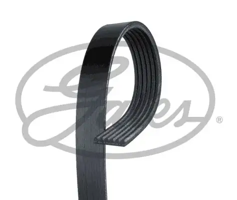 GATES ROADMAX 1320K6 Kayış