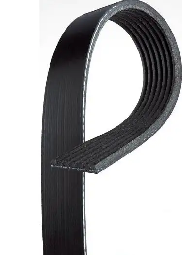 GATES ROADMAX 1555K6 Kayış