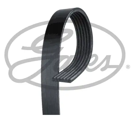 GATES ROADMAX 1670K6 Kayış