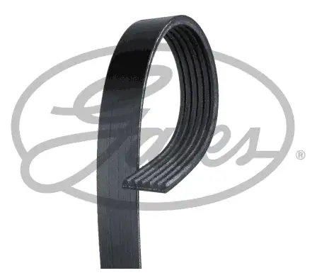 GATES ROADMAX 1708K6 Kayış