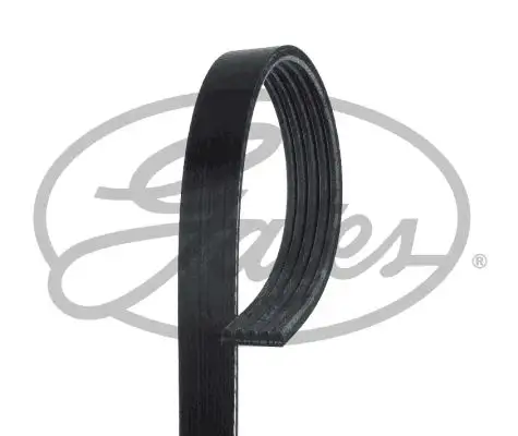 GATES ROADMAX 1810K5 Kayış