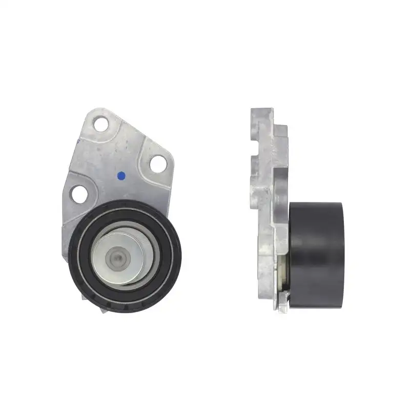 GATES T43039 Triger Gergi Rulmanı 5094008601