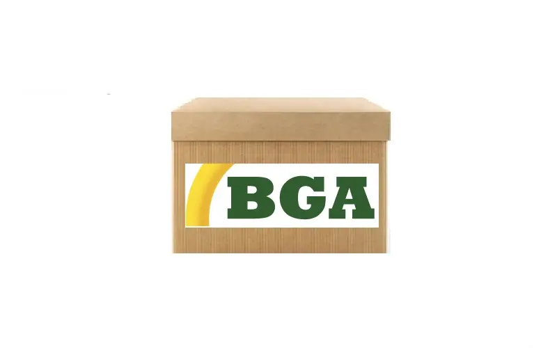 BGA TC2502FK Eksantrik Zincir Seti