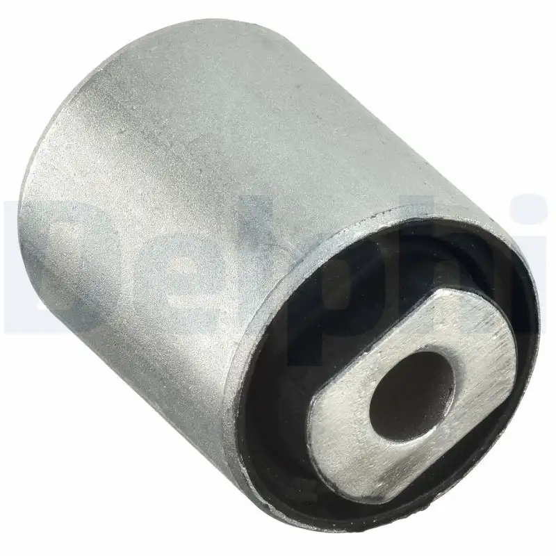 DELPHI TD1115W Salıncak Burcu RGX000060