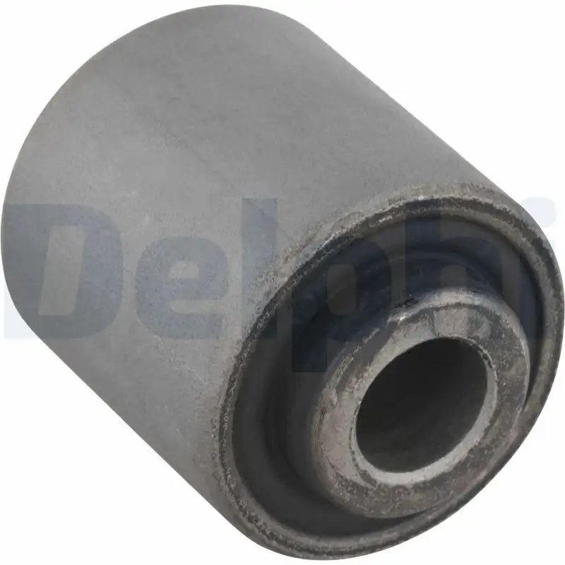DELPHI TD1502W Salıncak Burcu RGX101020
