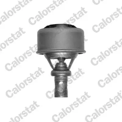 CALORSTAT VERNET TH4495.86 Termostat