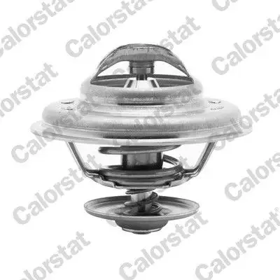 CALORSTAT VERNET TH5111.88J Termostat