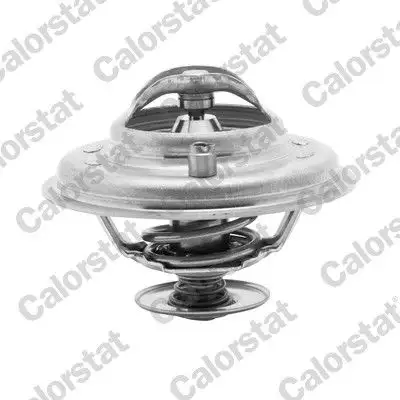 CALORSTAT VERNET TH5973.80J Termostat
