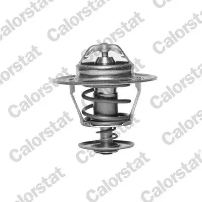CALORSTAT VERNET TH6007.88J Termostat 894F8575AA