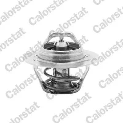 CALORSTAT VERNET TH6045.89J Termostat