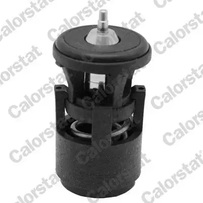 CALORSTAT VERNET TH6274.87J Termostat