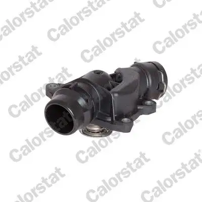 CALORSTAT VERNET TH6941.88J Termostat 11532247269